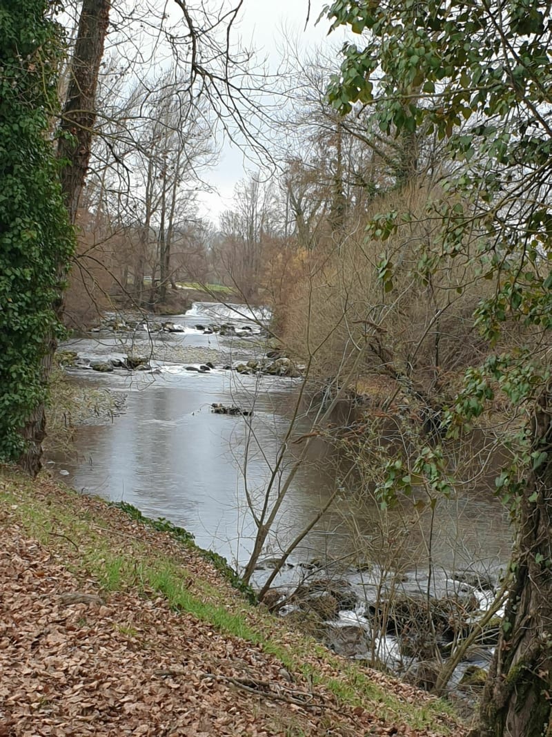 Caminadour d'Aureilhan jusqu'au pont de bourg - Aureilhan