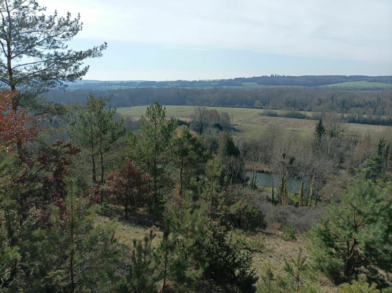 Balade des Vielles Ventes au bois de Baux - Sorel-Moussel