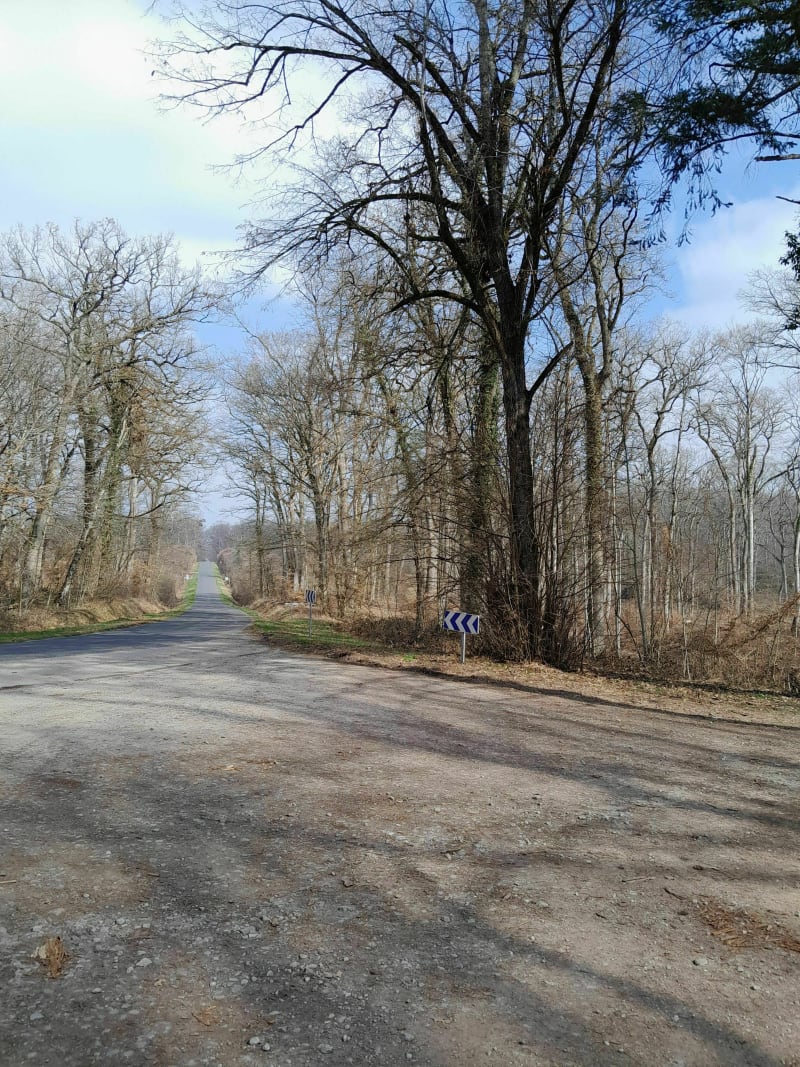 Tour du bois des Moladiers - Besson