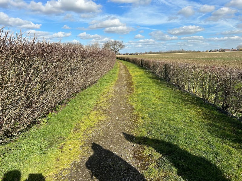 Balade à Wormhout et autour d'Esquelbecq - Wormhout
