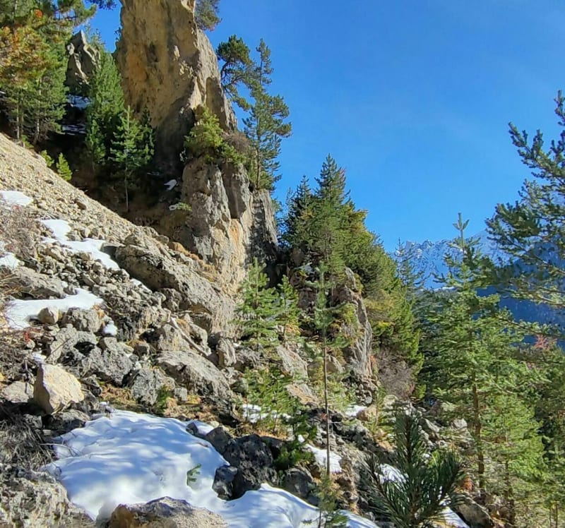 Petite promenade vers le bois d'Enguysson. - Ceillac