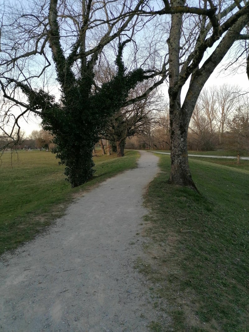 Parc Gourjade, Castres - Castres