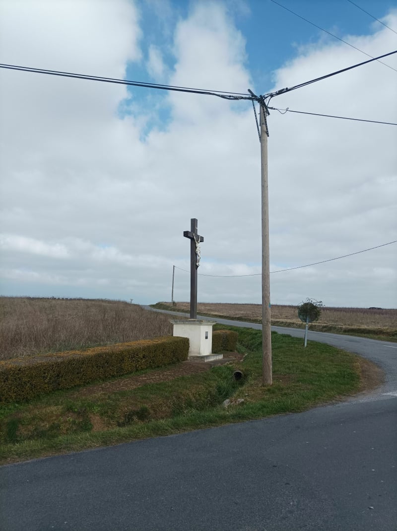 Découverte du vignoble Nantais entre Vallet et Mouzillon à VTc - Vallet