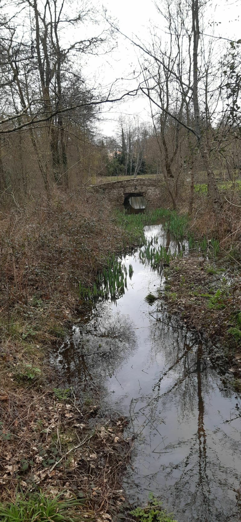 Découverte villages et sites de Bouguenais - Bouguenais