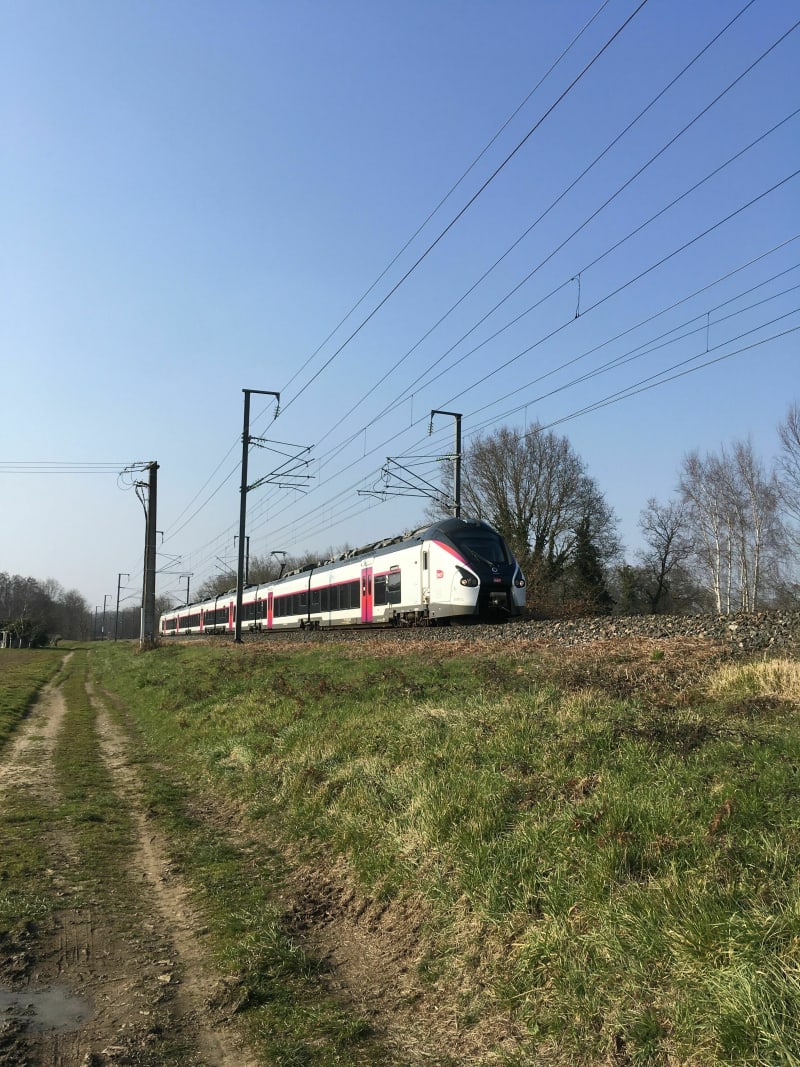 Le long du chemin de fer de La Haie Fouassière à St Sebastien-sur-Loire - La Haie-Fouassière