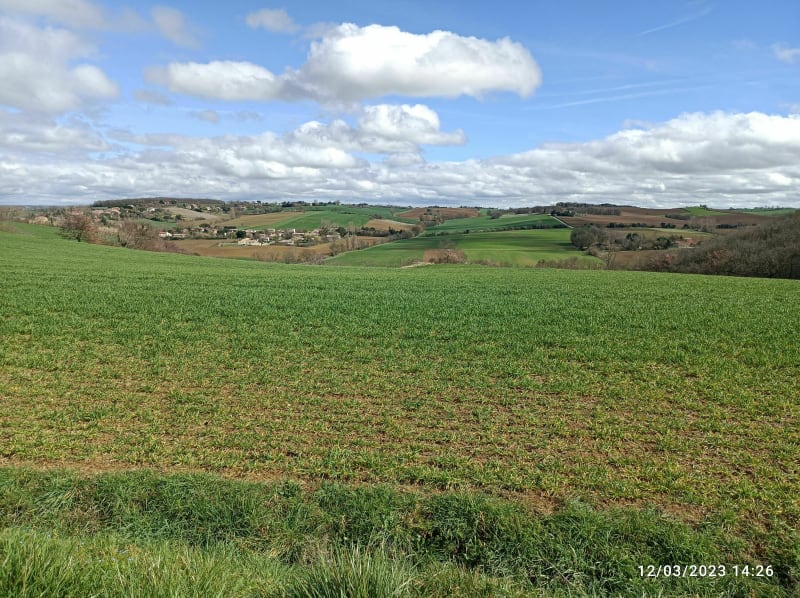 Campagne entre Vieillevigne et Montesquieu-Lauragais - Vieillevigne