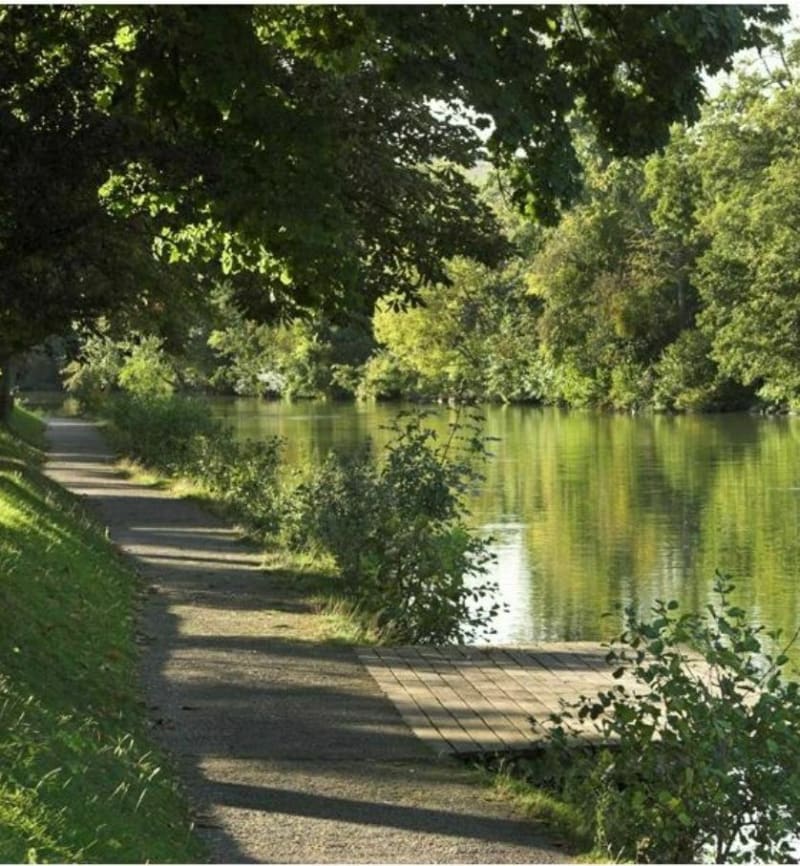 Bords de Marne à Bry-sur-Marne - Le Perreux-sur-Marne