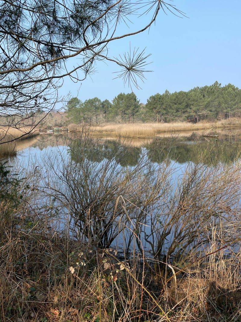 Canal latéral réserve naturelle Arès /Lège Cap-Ferret - Lège-Cap-Ferret
