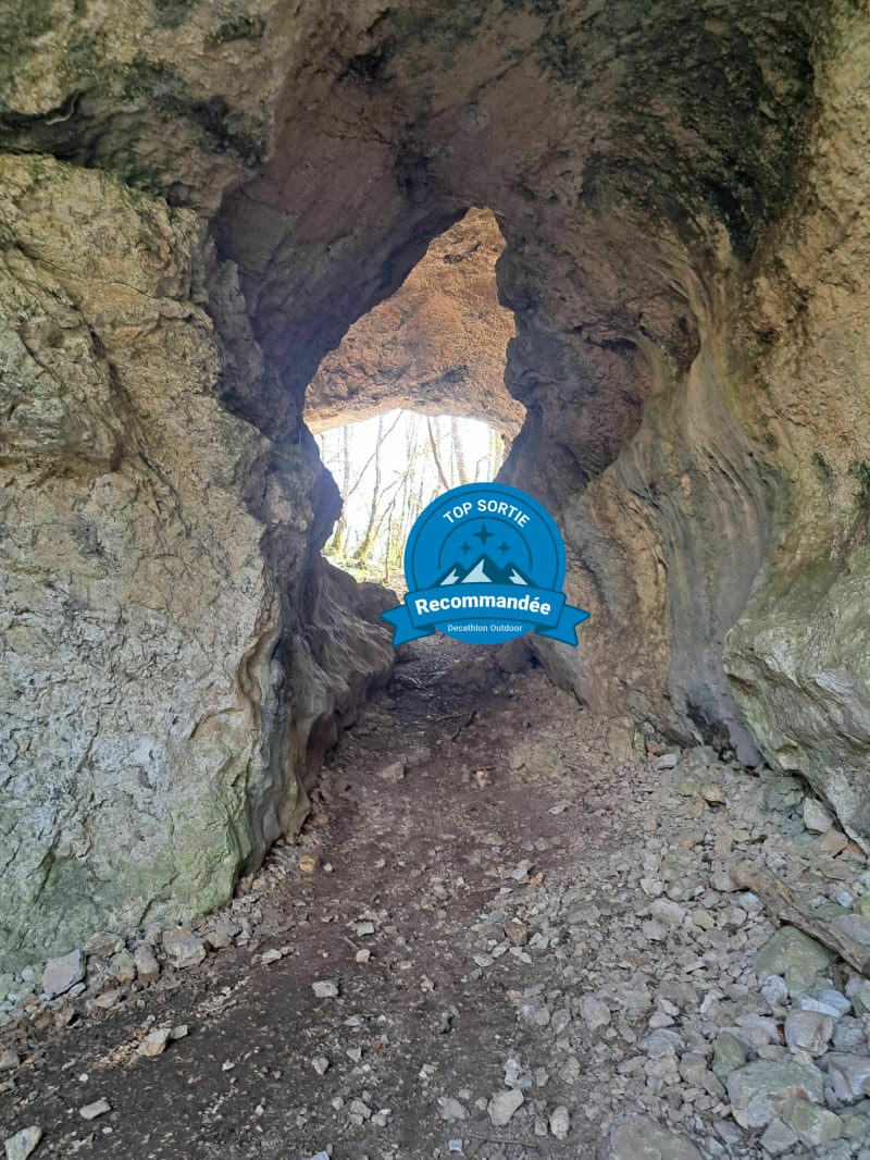 Un festival de curiosités naturelles autour de Colomieu à VTT - Saint-Germain-les-Paroisses