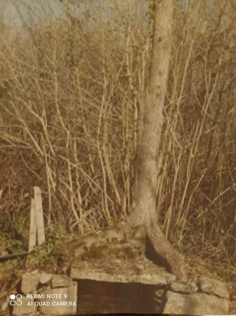 Belle rando du pont de Mounée - Saint-Martin-de-Saint-Maixent