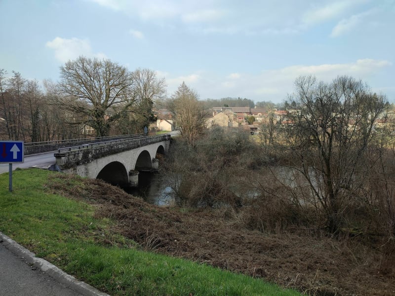 Le long du chemin par le Petits Bois - Saint-Priest-Taurion
