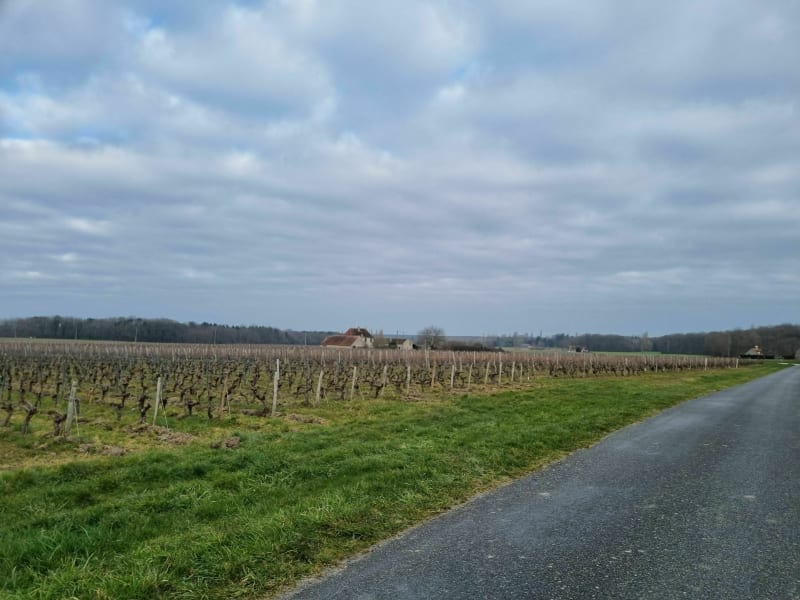 Balade autour de Cour-Cheverny - Cour-Cheverny