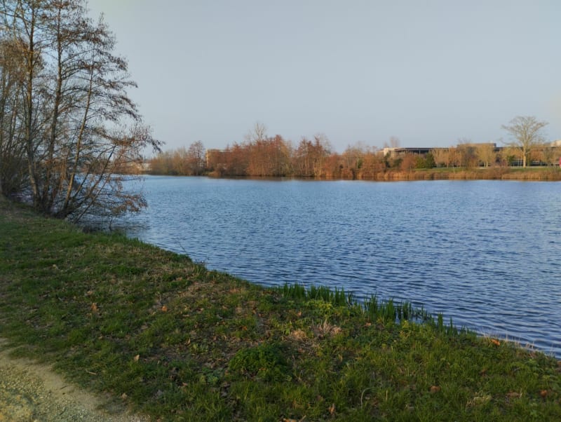 Grand tour des bords de Sèvre à Niort - Niort
