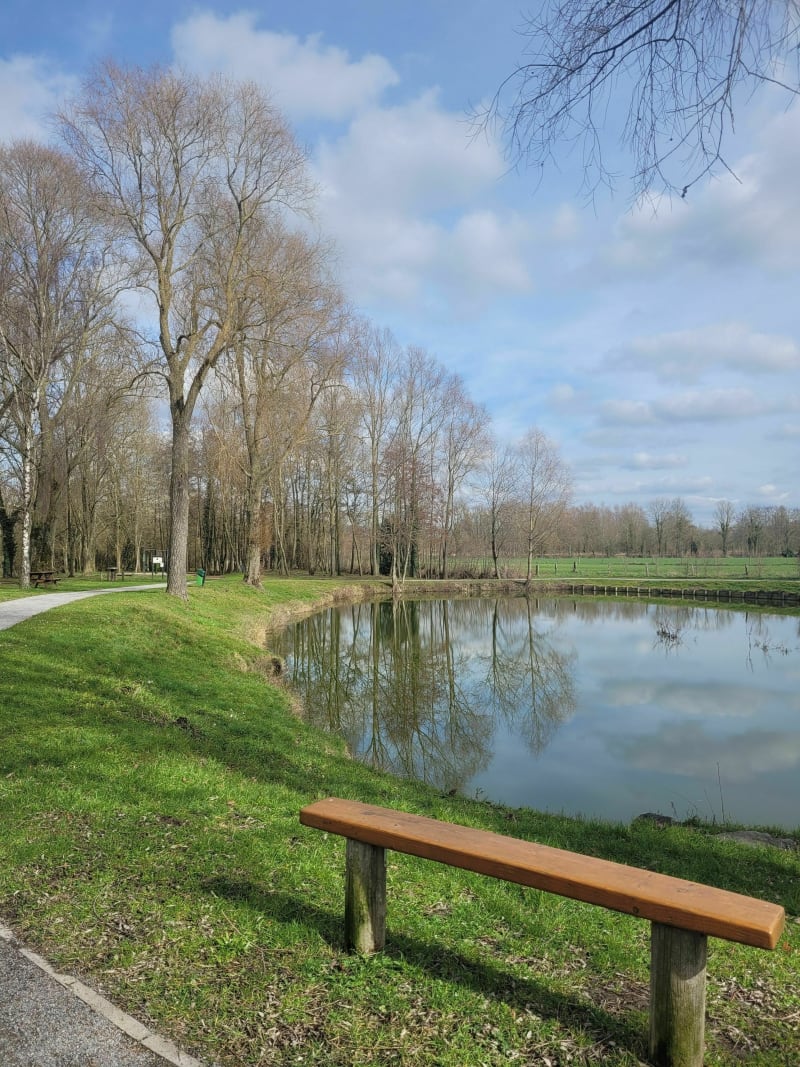 Balade Thunoise à Nouveau Rieu - Thun-Saint-Amand