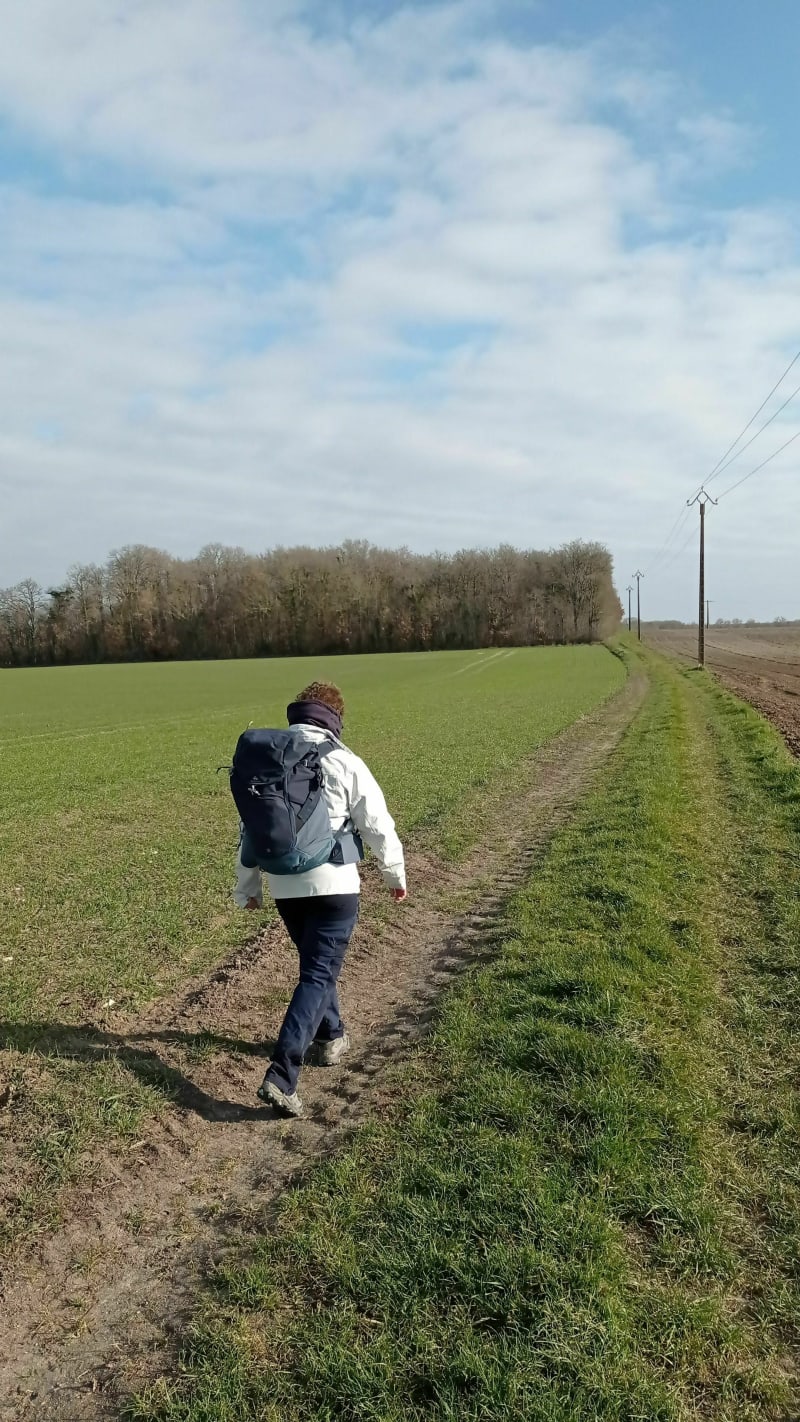Balade du côté de Seur - Le Controis-en-Sologne