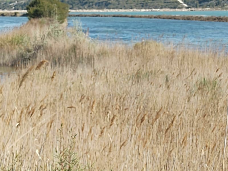 Balade vélo avec les enfants à l'Etang de l'Estomac - Fos-sur-Mer