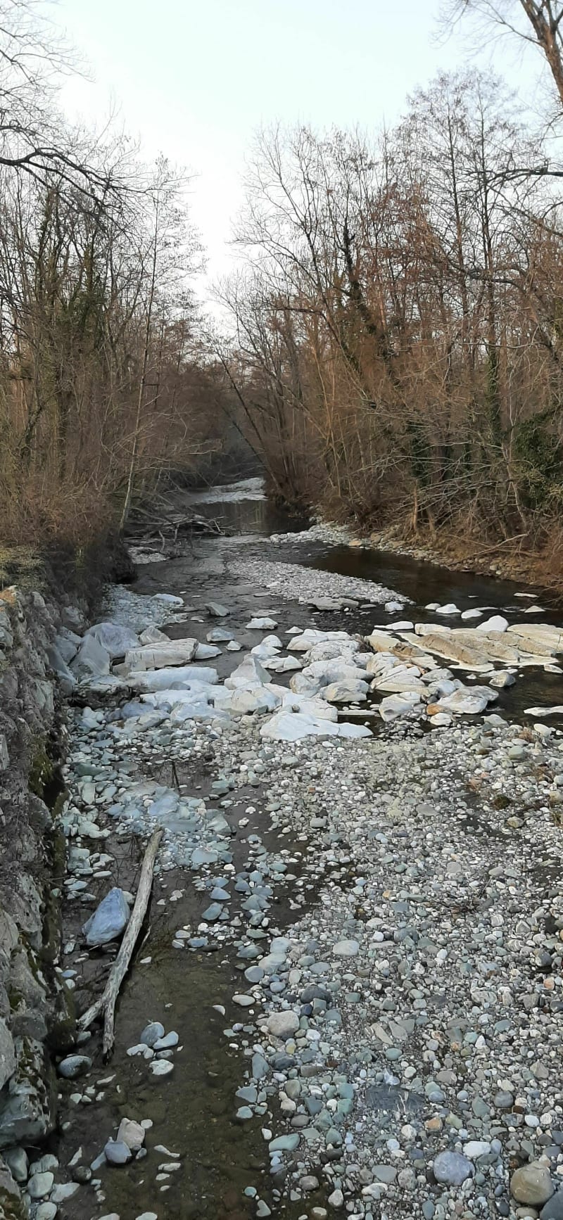 Traversée de la forêt Communale d'Igon... - Igon