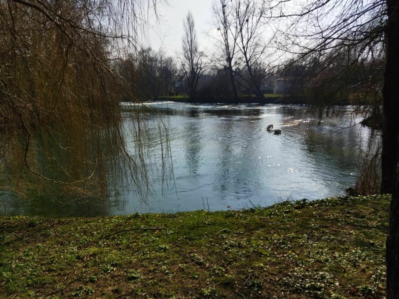 Balade bord de Charente Jarnac - Mainxe-Gondeville