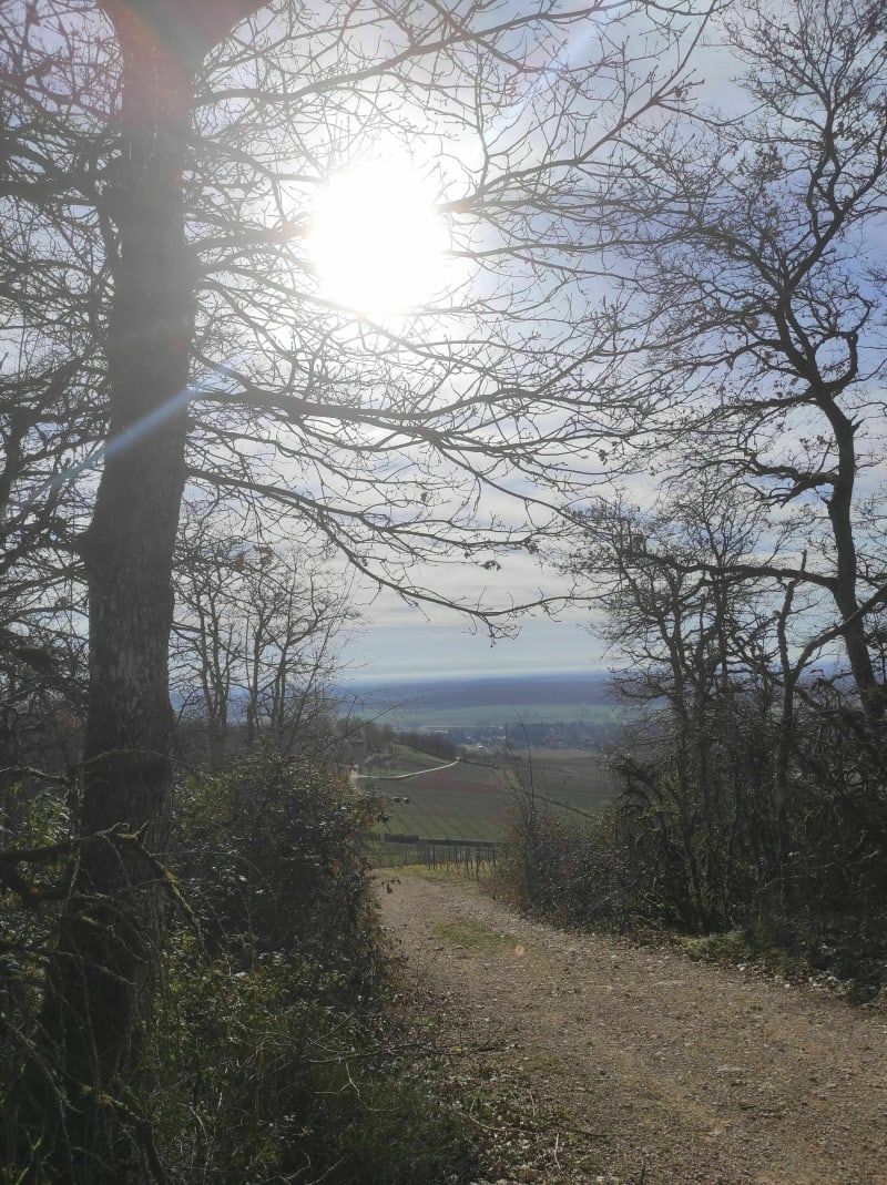 Madone, Givry - Givry