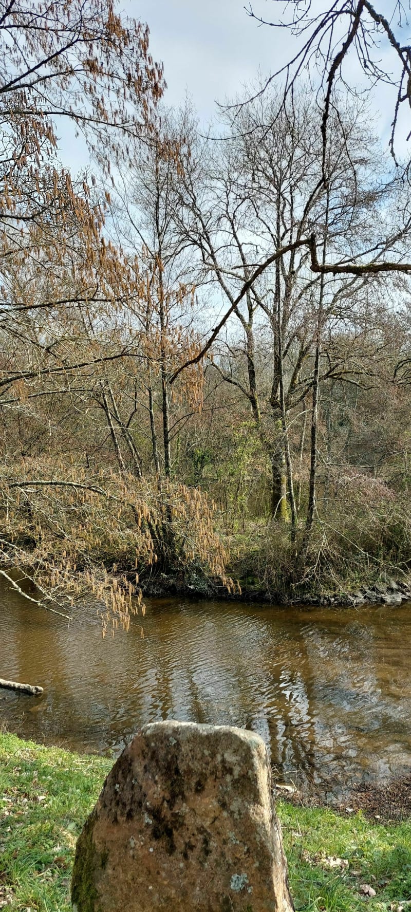Sentier du Puy des Lucs coté Etang du Ranch - Les Lucs-sur-Boulogne