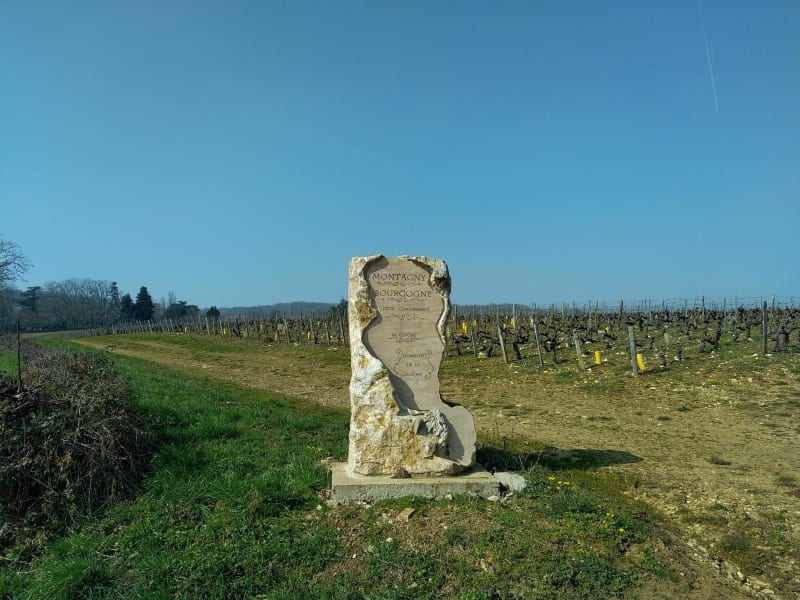 Une balade aux alentours de Buxy par le Château de Ponneau - Buxy