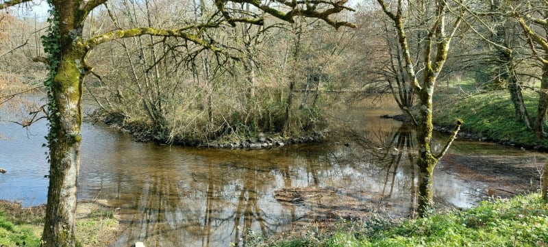 Sentier du Plessis - Les Lucs sur Boulogne - Les Lucs-sur-Boulogne