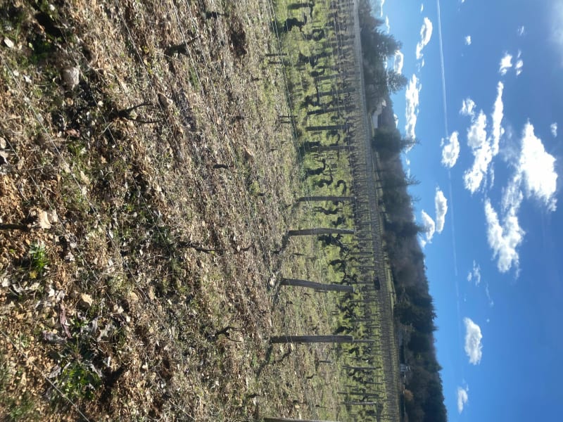 Parcours sur Chenôve - Chenôve