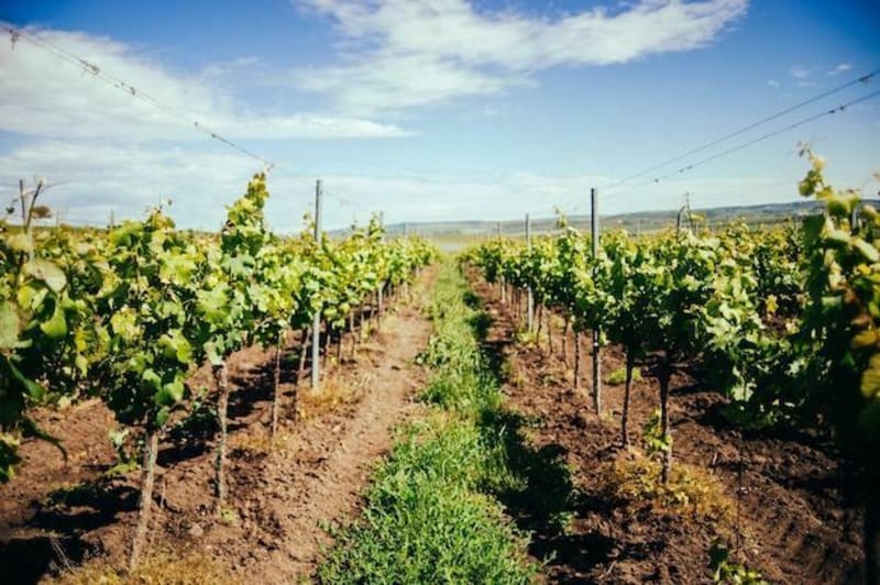 Randonnée dans la vallée de Cousse - Chançay