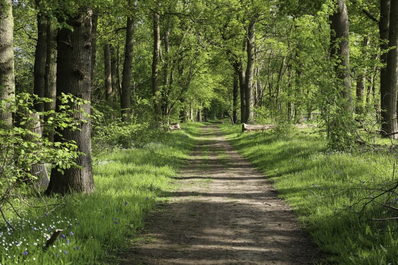 Promenade à Surfonds - Surfonds