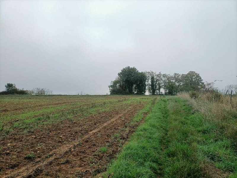 Boucle des Grandes Terres à Corbas - Corbas
