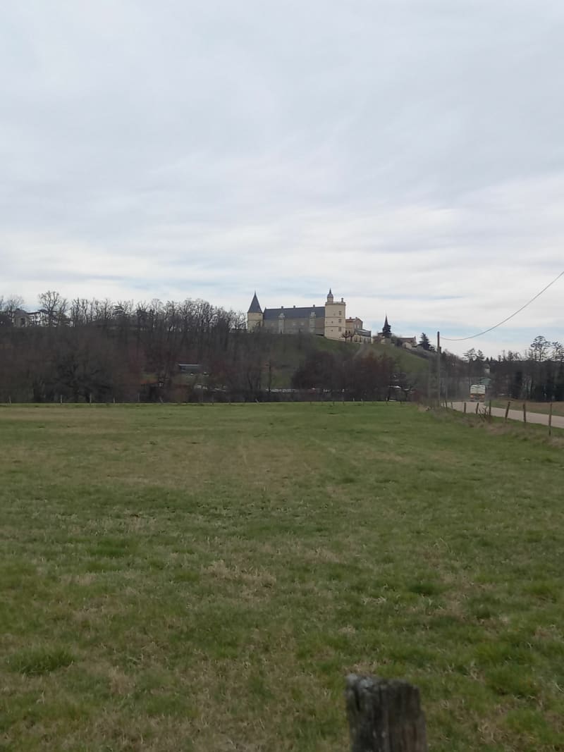Bords de Loire à Andrézieux-Bouthéon - Andrézieux-Bouthéon