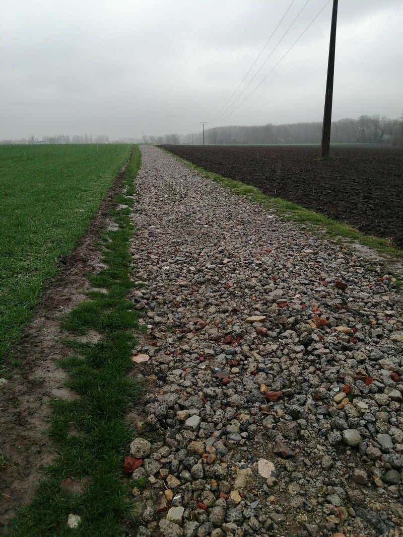 Balade par le flot de Wingles Retour par le chemin des vaches - Billy-Berclau
