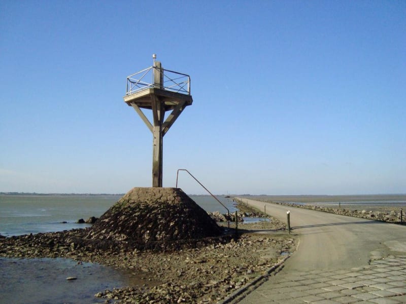 Entre Gois et forêts - Noirmoutier-en-l'Île