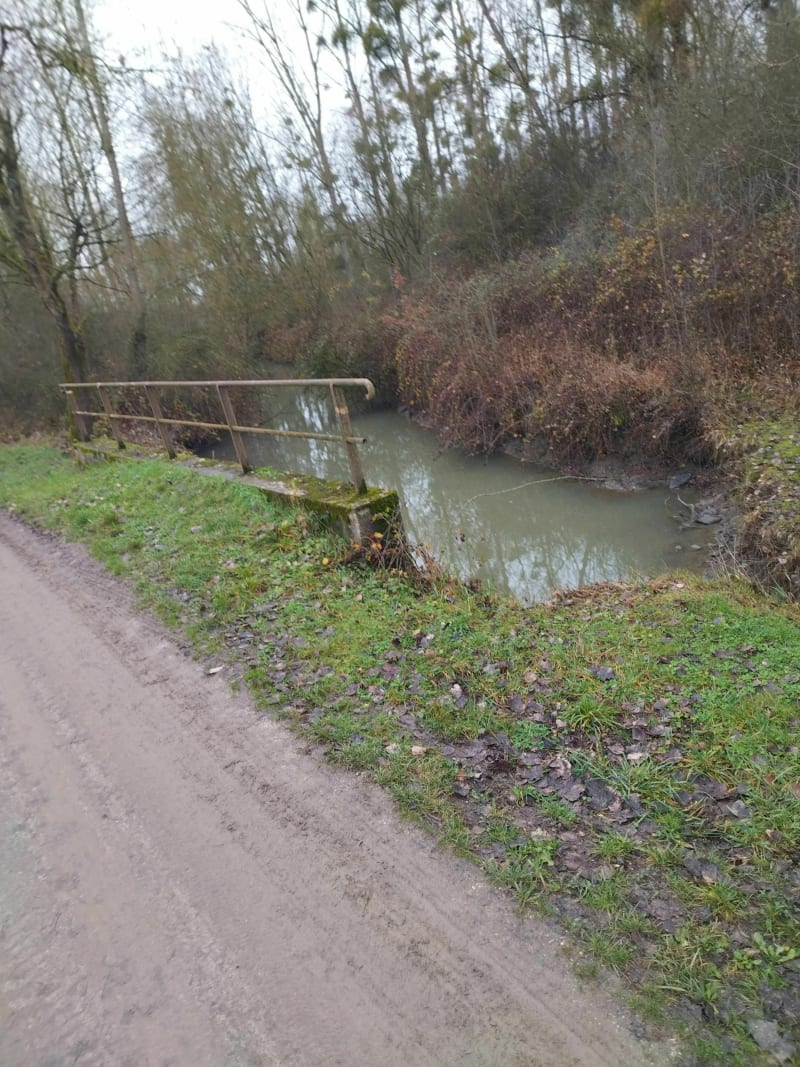 Petit tour bougette à VTT - Loire-Authion