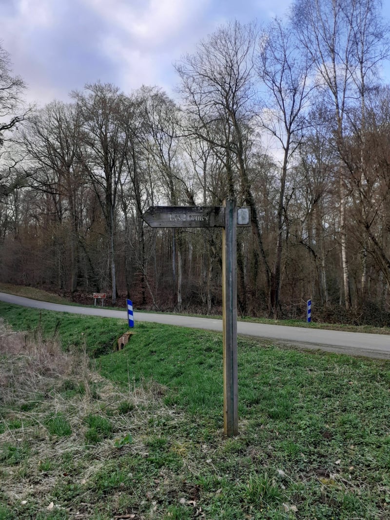 Balade en forêt Domaniale de Malmifait - Haute-Épine