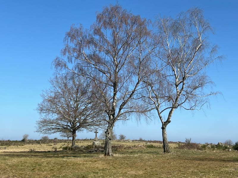 Petit tour dans les chemins de Charbonnières les Varennes - Charbonnières-les-Varennes