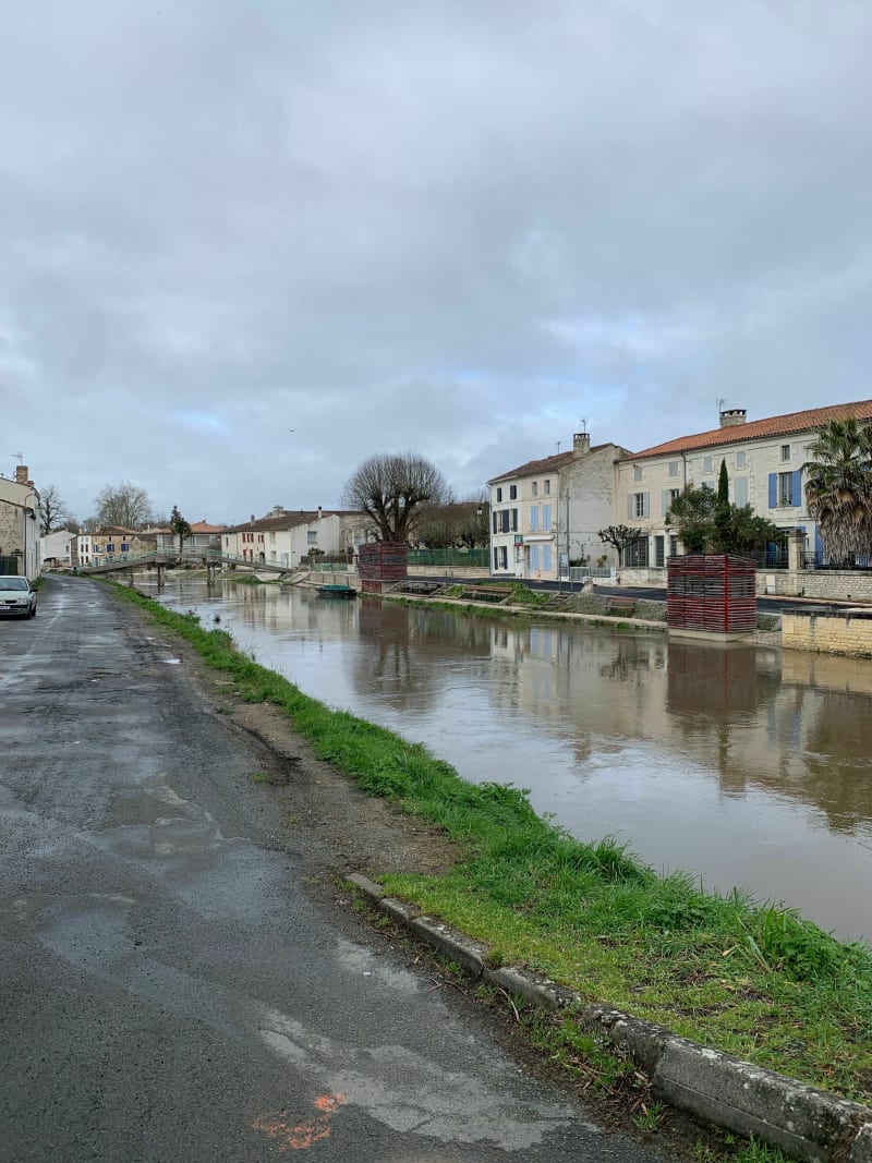 Coulon et le marais - Coulon