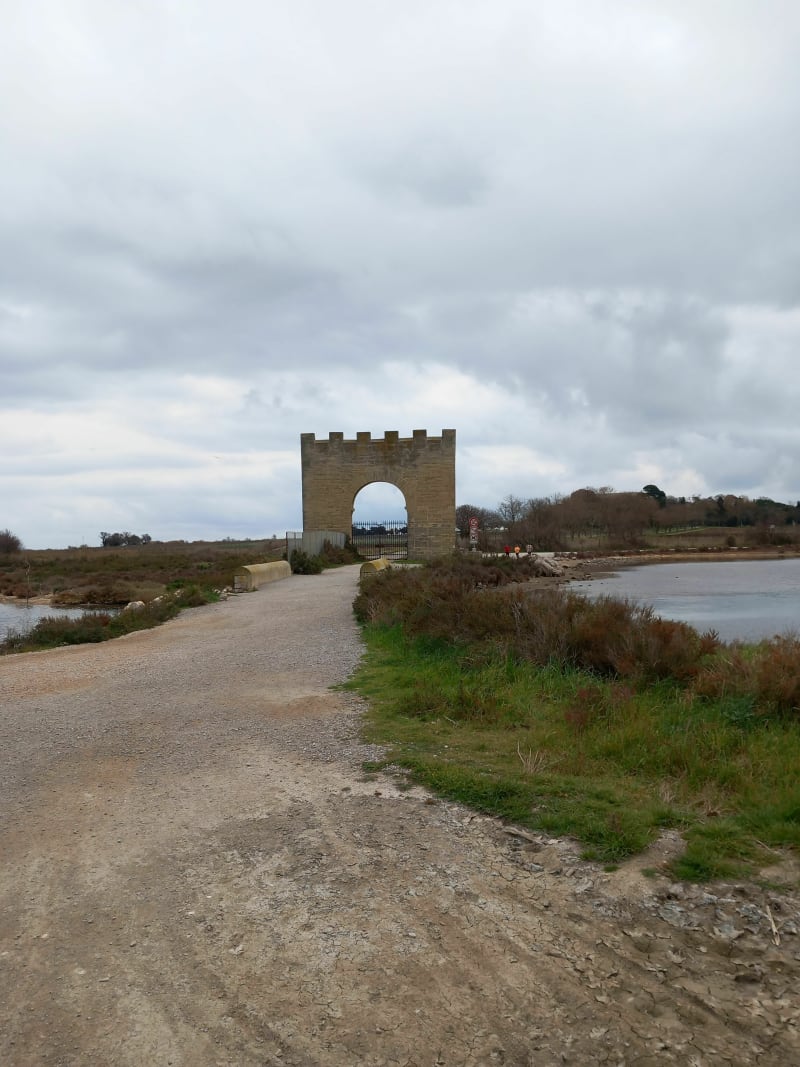 Les Aresquiers - Palavas-les-Flots à vélo - Frontignan