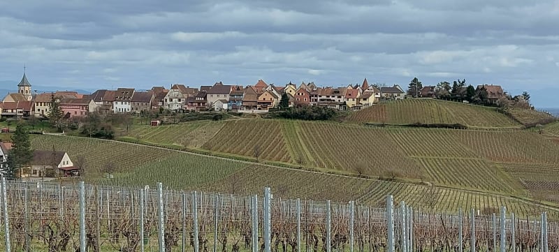 De la nécropole de Sigolsheim à Riquewihr et Zellenberg. - Kaysersberg-Vignoble