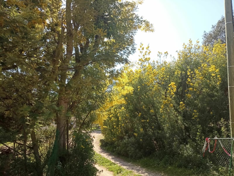 Balade de l'étang en passant par le canal de la Siagne - Mougins