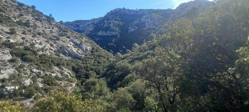 Monté dans le ravin des Encanaux par les sentiers d'Antan - Auriol