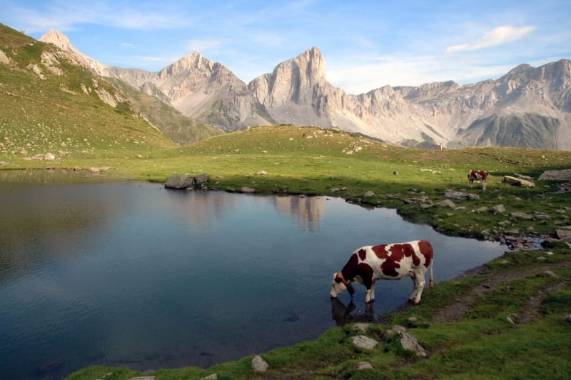 Evasion pyrénéenne au Lac d'Ansabère - Lescun