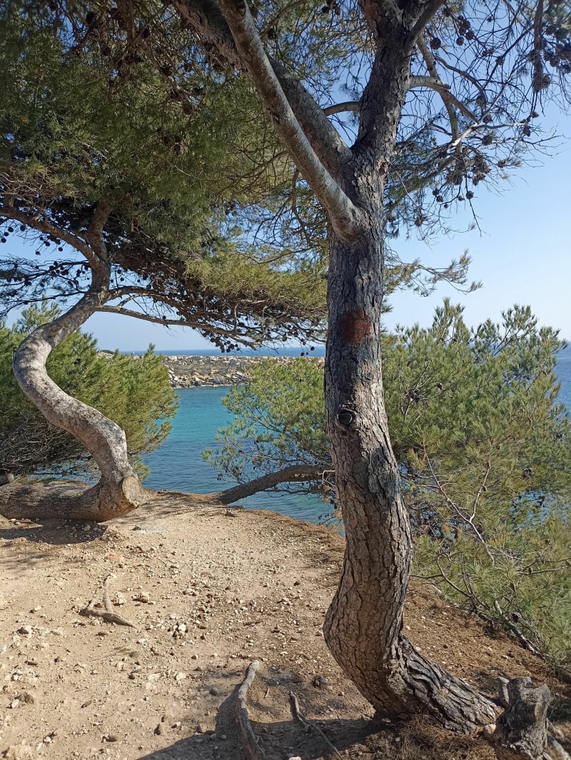Balade au bord de mer au départ du camping Paradis à La Couronne - Martigues