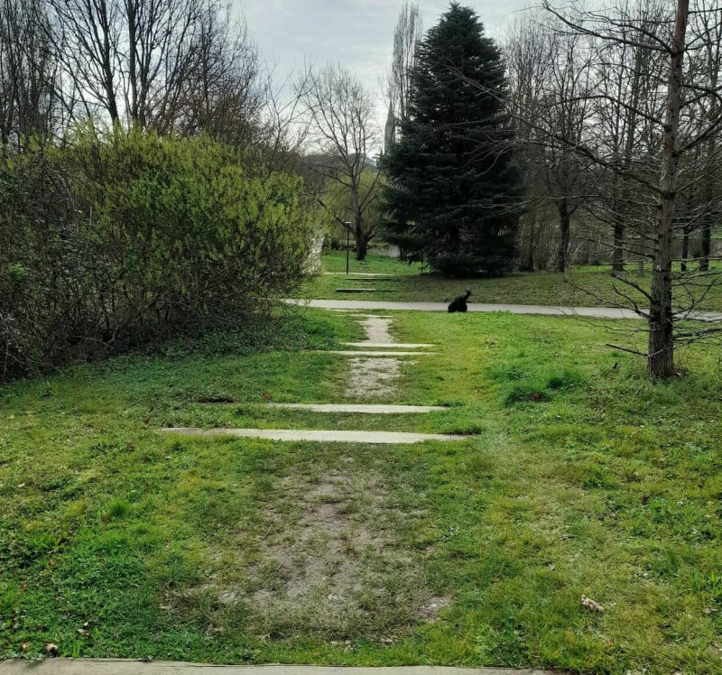 Le Parc du Charbonneau à Carquefou - Carquefou