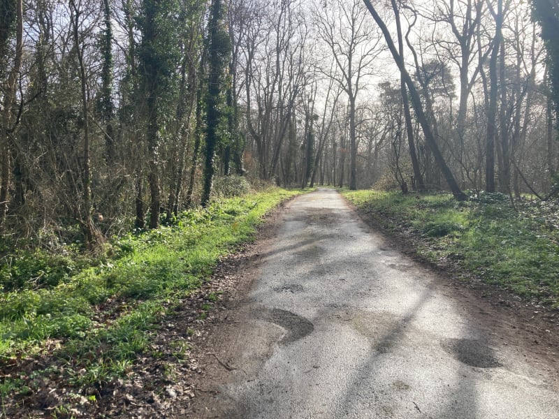 Découverte et forêt à Vineuil - Vineuil