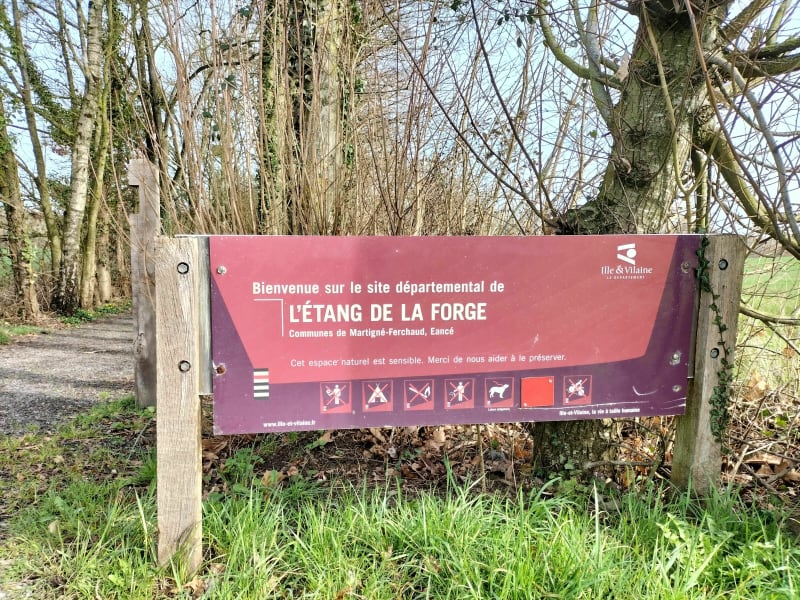 Étang de la forge côté Eancé - Martigné-Ferchaud