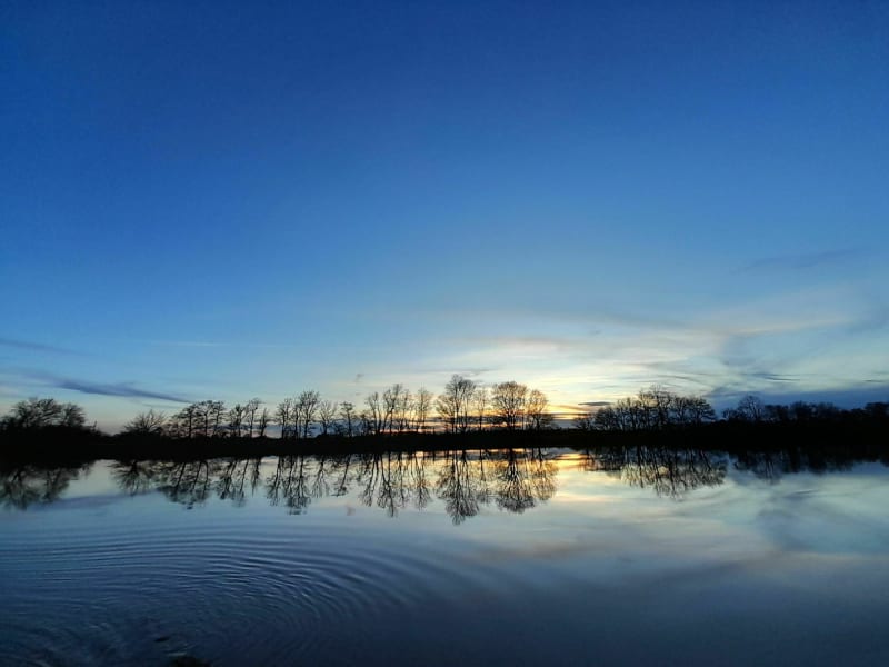 Petit tour en bord de Saône à Labergement les Auxonne - Labergement-lès-Auxonne