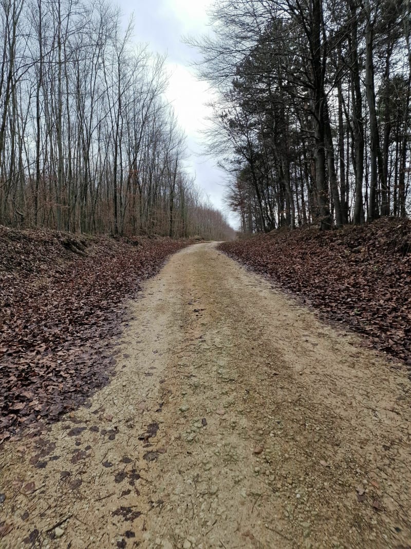 Par Monts et par vaux à Damloup à VTT - Damloup
