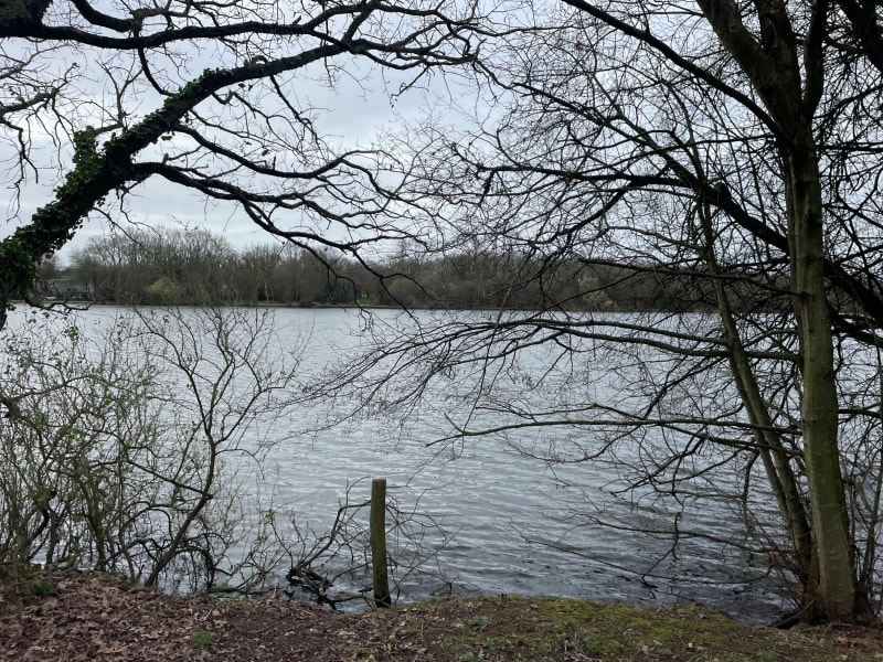 Jogging autour du Lac du Bois-Joalland - Saint-Nazaire