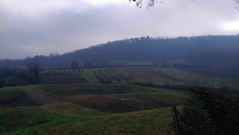 Promenade à Chasselay - Chasselay